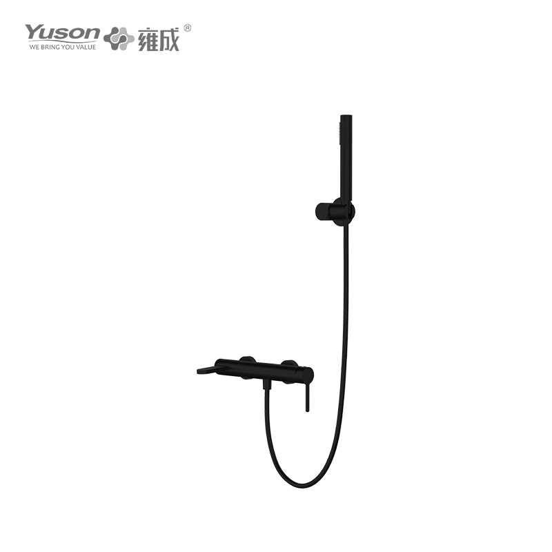 3160-22K SS 316L Single Lever Wall Mounted Shower Faucet with handheld showerhead 