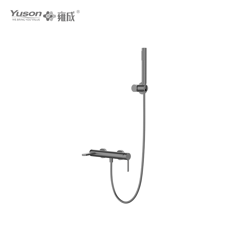 3160-22K SS 316L Single Lever Wall Mounted Shower Faucet with handheld showerhead 