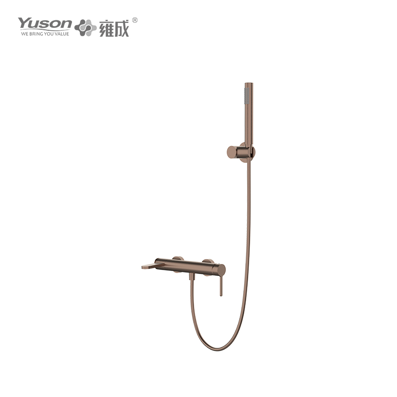 3160-22K SS 316L Single Lever Wall Mounted Shower Faucet with handheld showerhead 